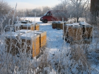 Bienenstand in Brakel